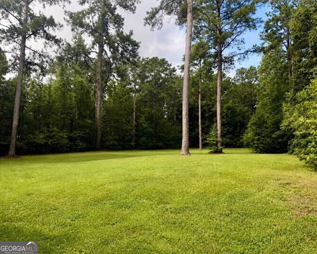 60 Garden Grove Drive Waverly Hall - Photo 17