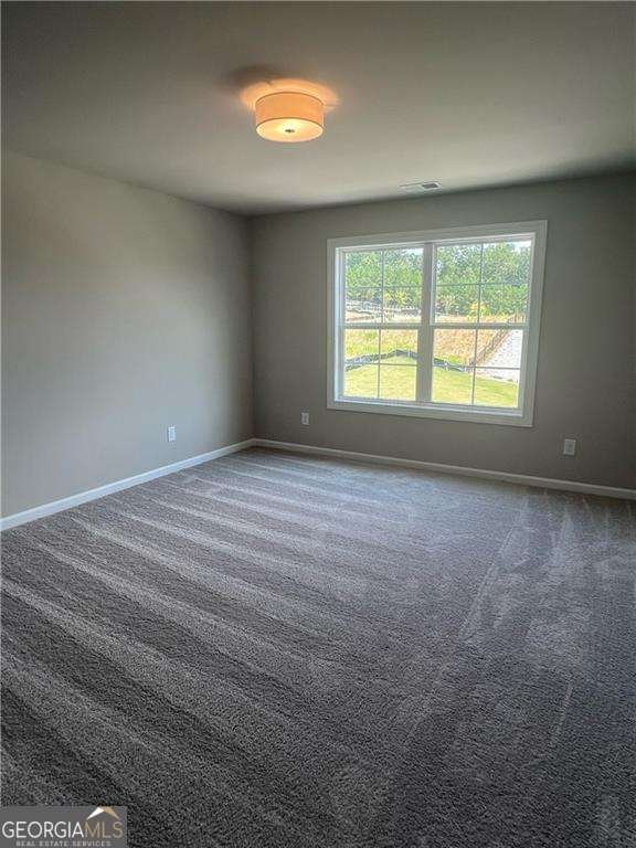 336 Lakeside Court Canton - Photo 13