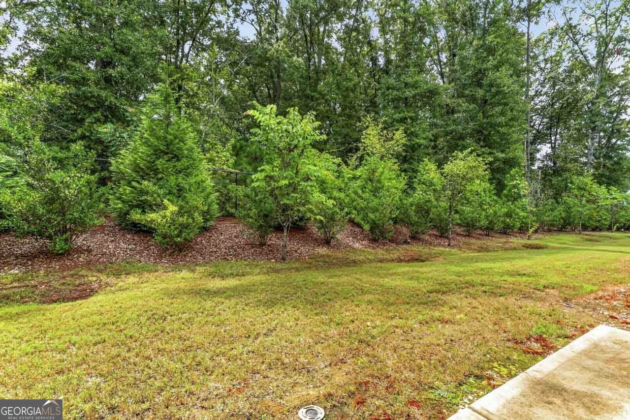 174 Hampton Circle McDonough - Photo 21