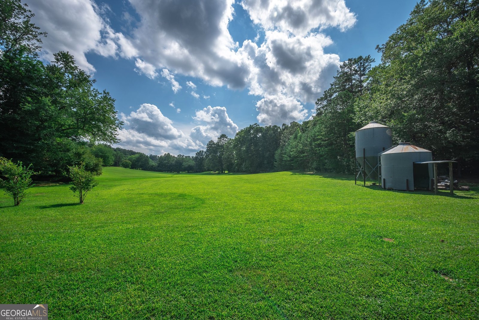 4011 Murphy Highway Mineral Bluff - Photo 104