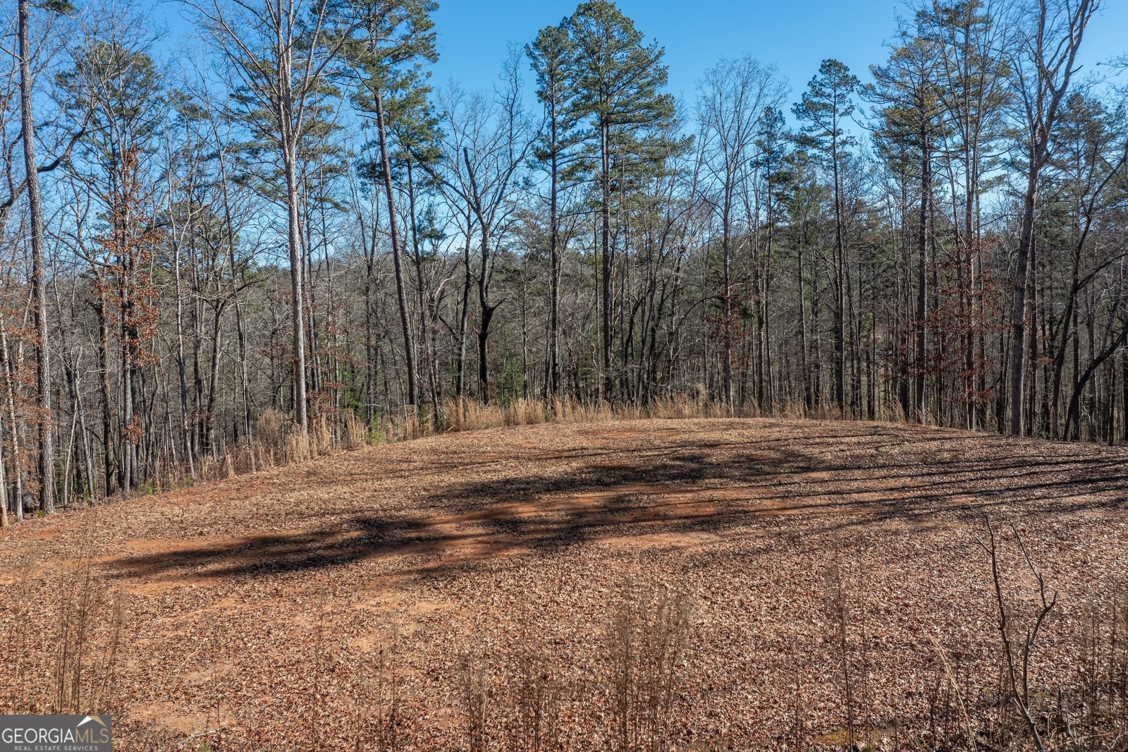 4011 Murphy Highway Mineral Bluff - Photo 64