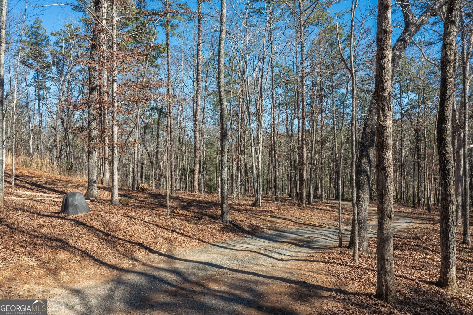 4011 Murphy Highway Mineral Bluff - Photo 68