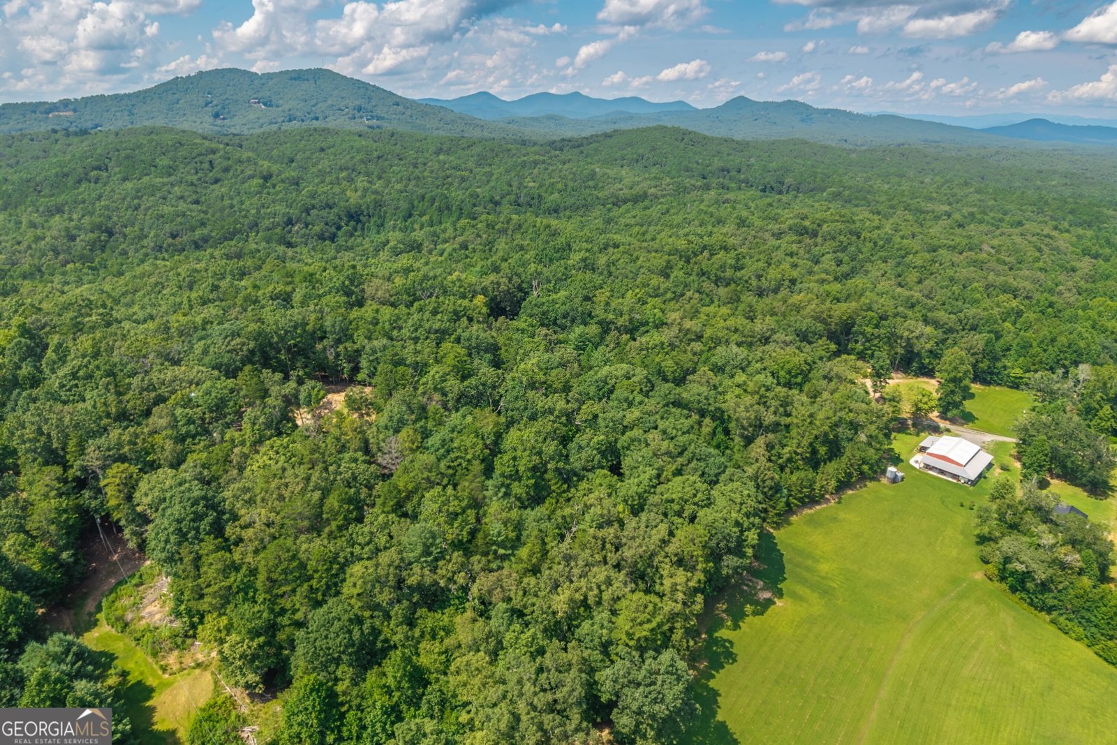 4011 Murphy Highway Mineral Bluff - Photo 82