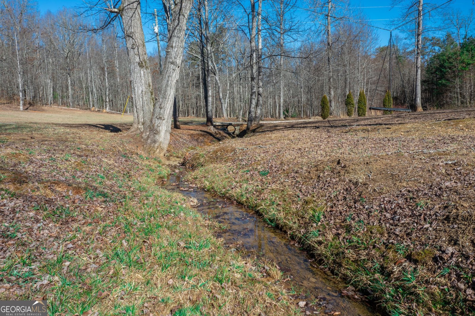 4011 Murphy Highway Mineral Bluff - Photo 86