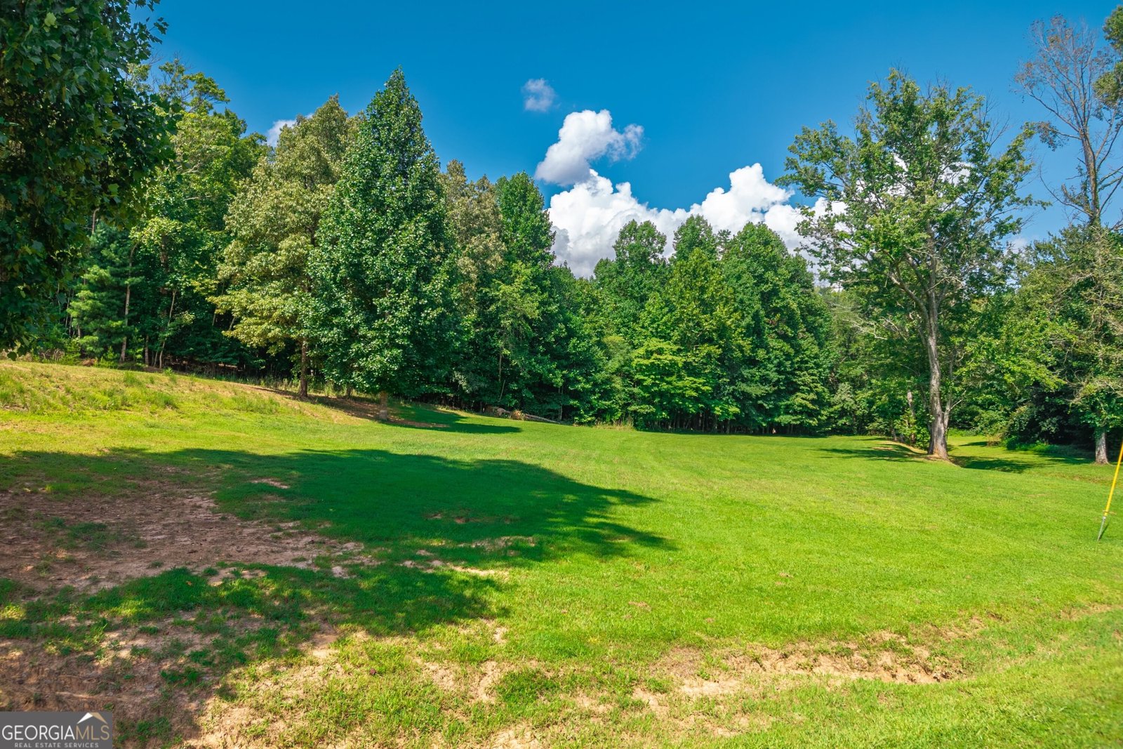 4011 Murphy Highway Mineral Bluff - Photo 88