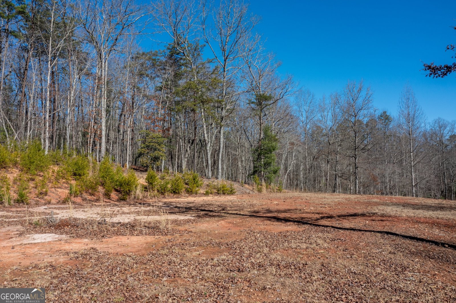 4011 Murphy Highway Mineral Bluff - Photo 94