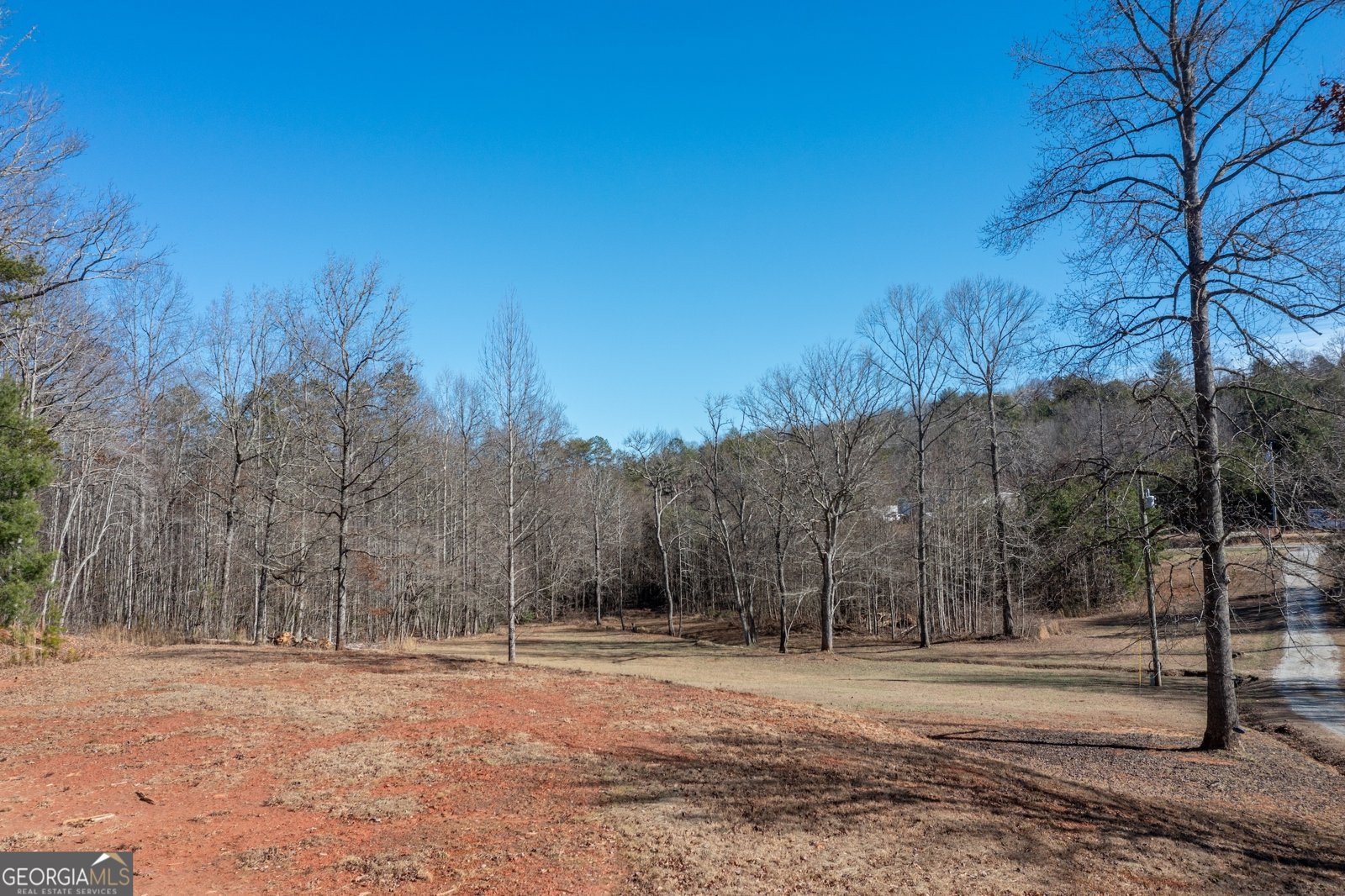 4011 Murphy Highway Mineral Bluff - Photo 97