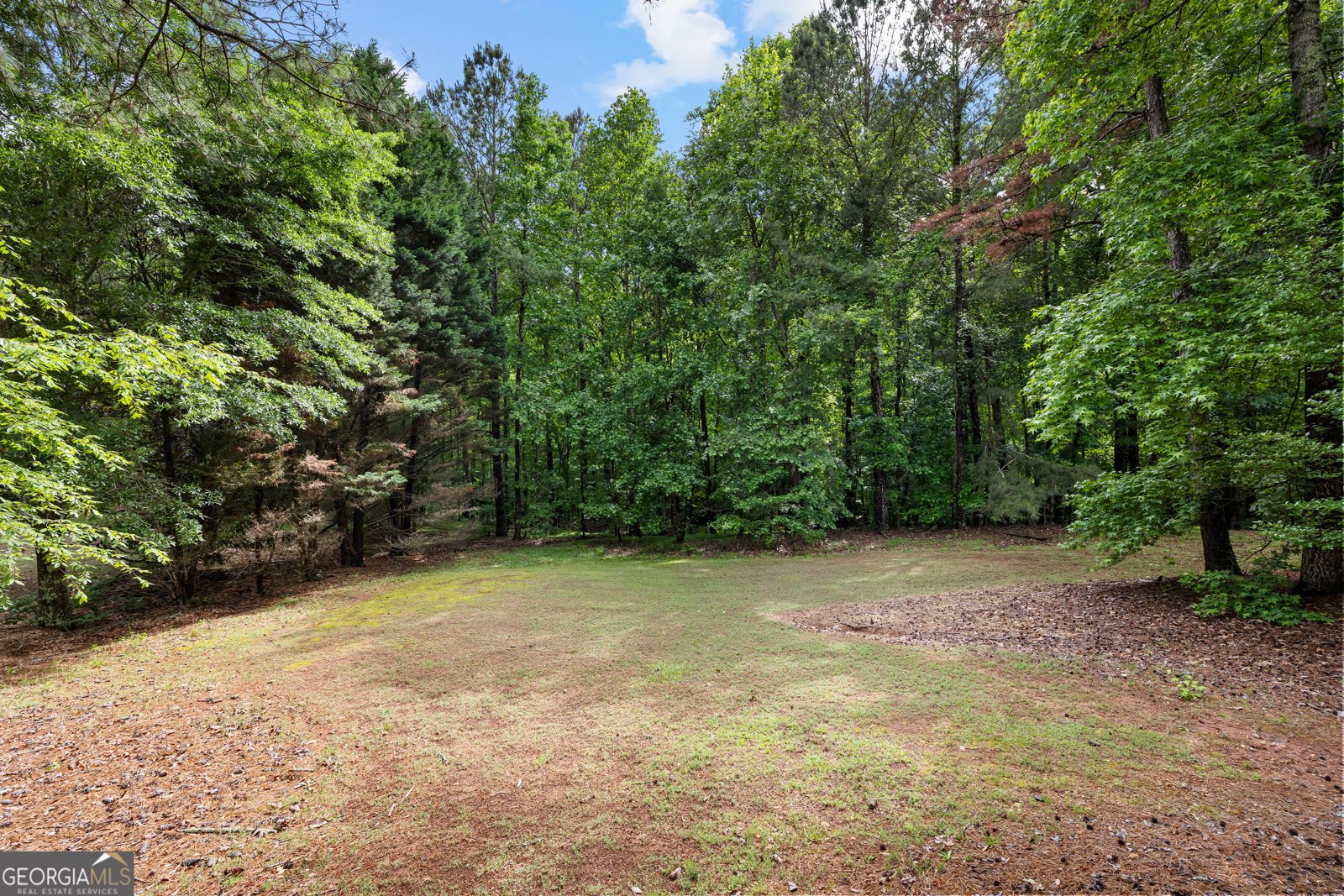 348 Loring Lane Peachtree City - Photo 66