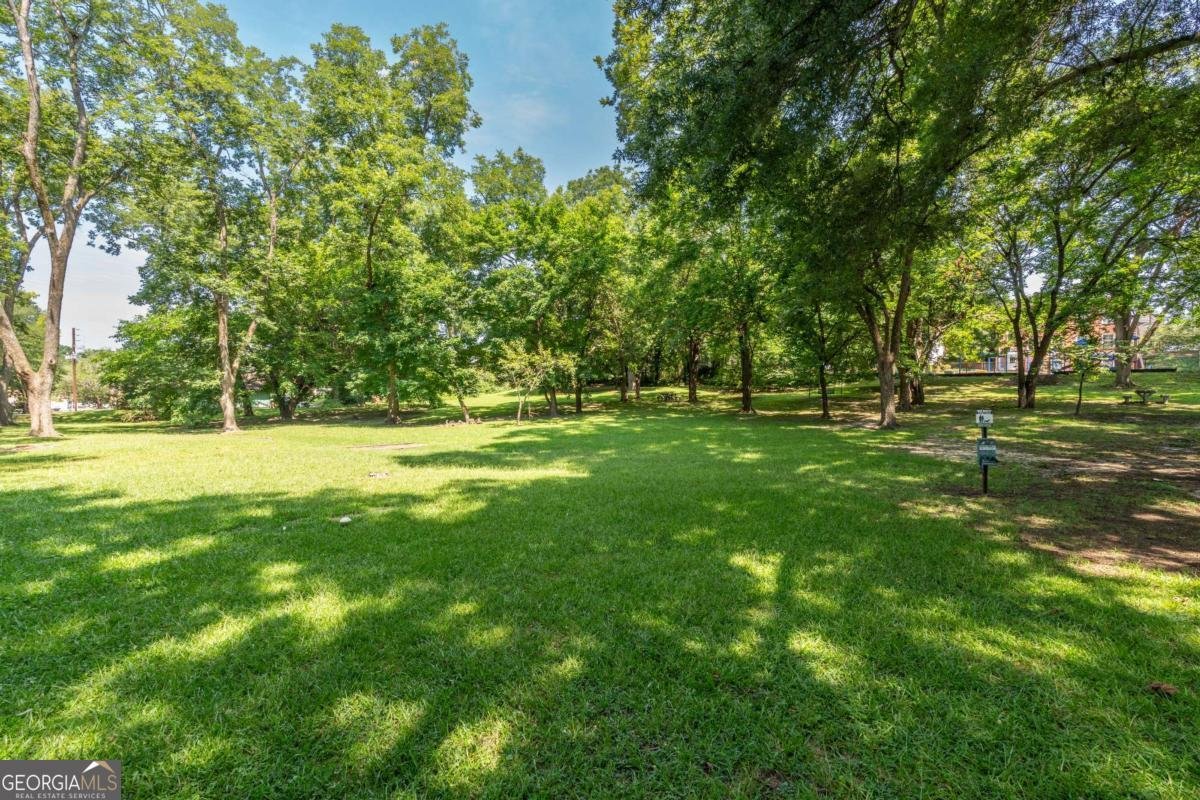 301 Bradley Street Carrollton - Photo 37