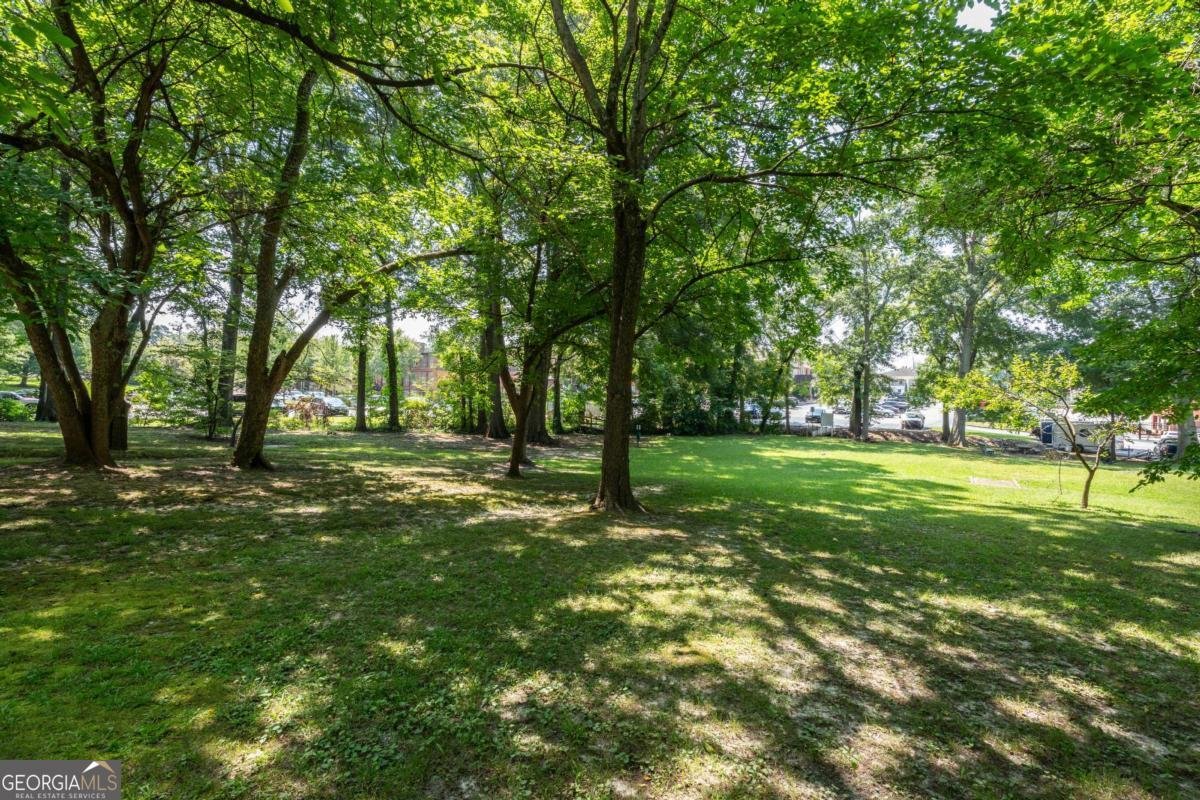 301 Bradley Street Carrollton - Photo 40