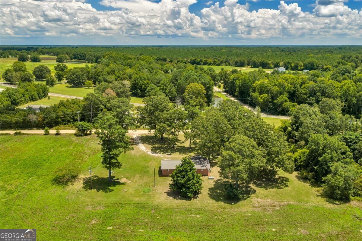 119 Haywood McDonald Road Cochran - Photo 45