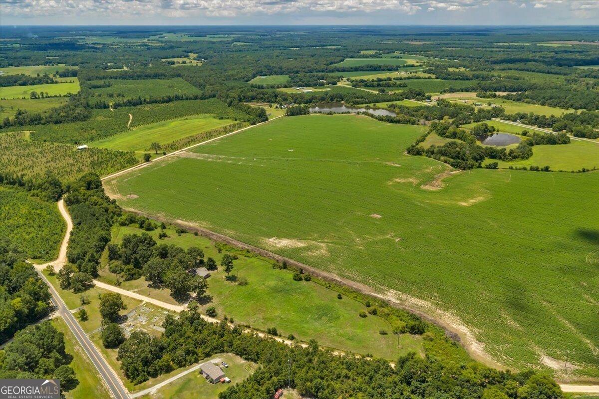 119 Haywood McDonald Road Cochran - Photo 48