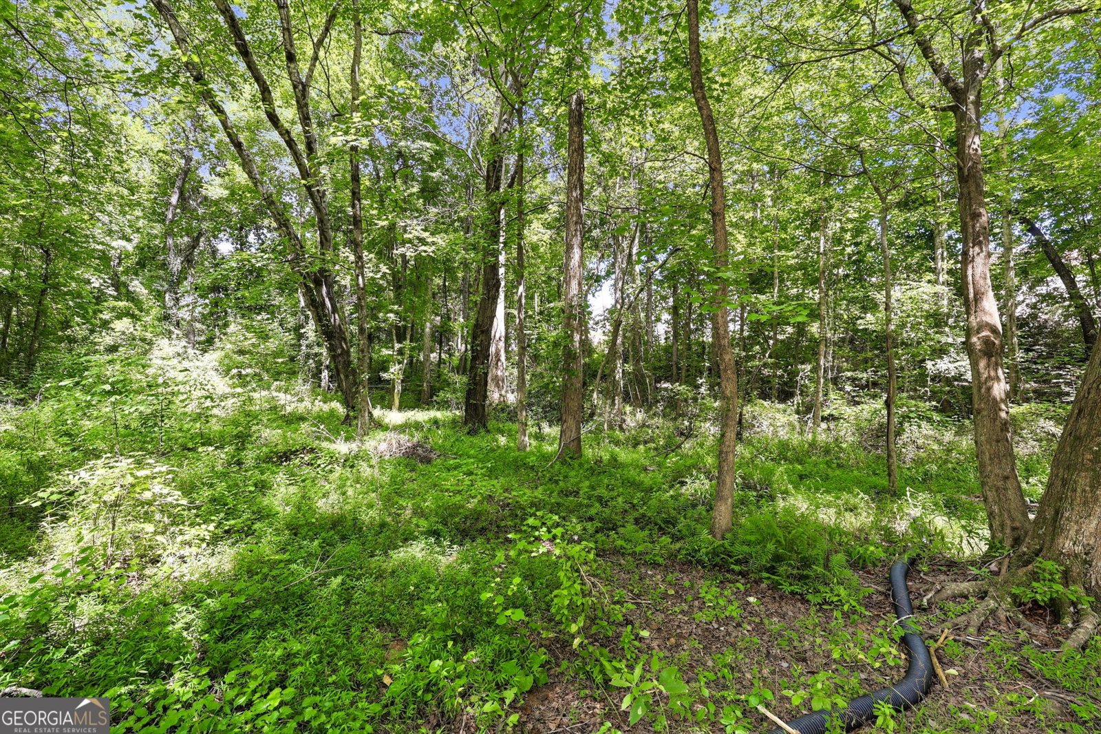 3970 Walnut Grove Way Gainesville - Photo 34