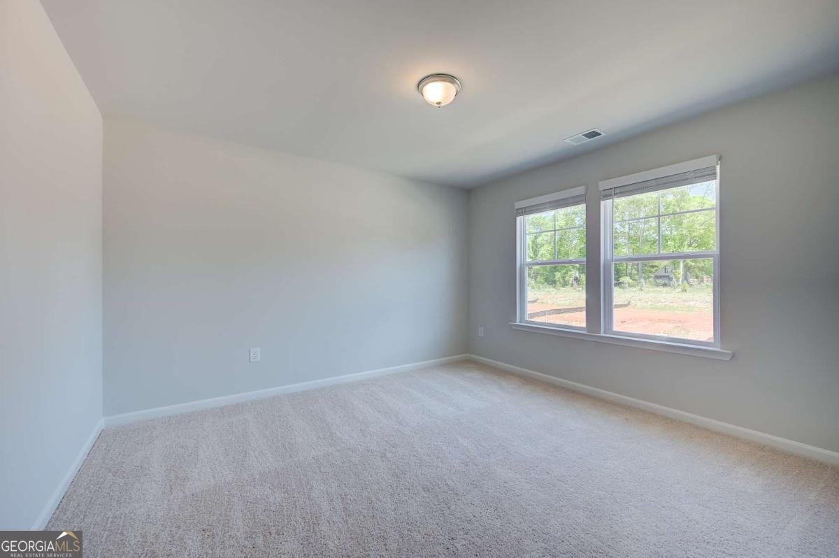 672 Leafy Branch Way Mcdonough - Photo 22