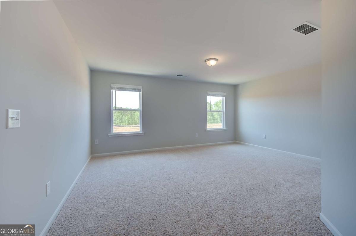 672 Leafy Branch Way Mcdonough - Photo 24