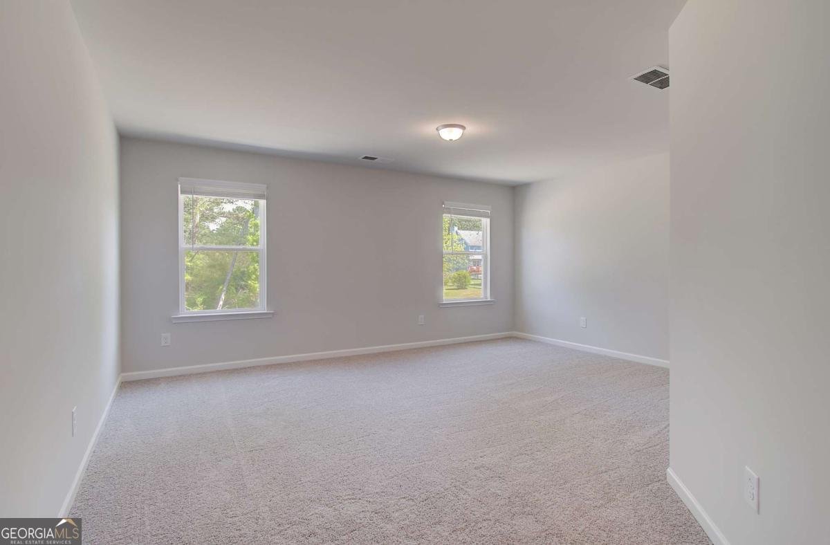648 Leafy Branch Way Mcdonough - Photo 18