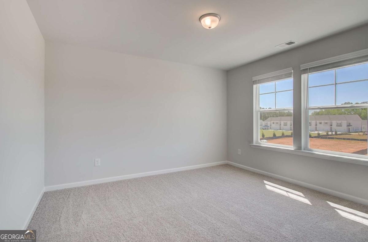 648 Leafy Branch Way Mcdonough - Photo 20