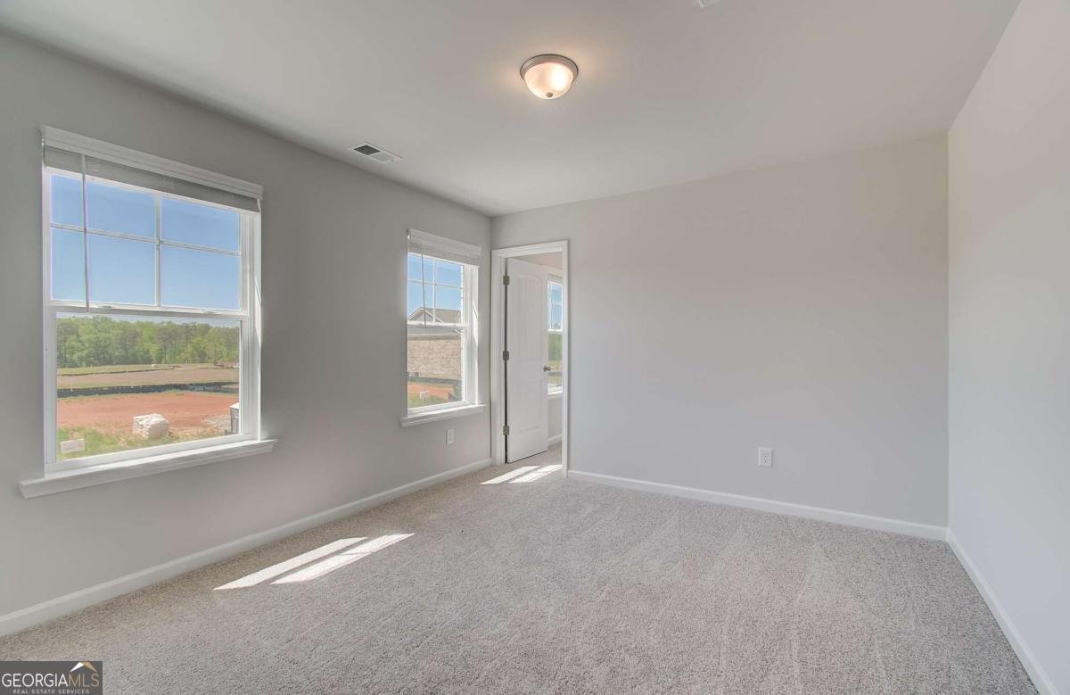 648 Leafy Branch Way Mcdonough - Photo 21
