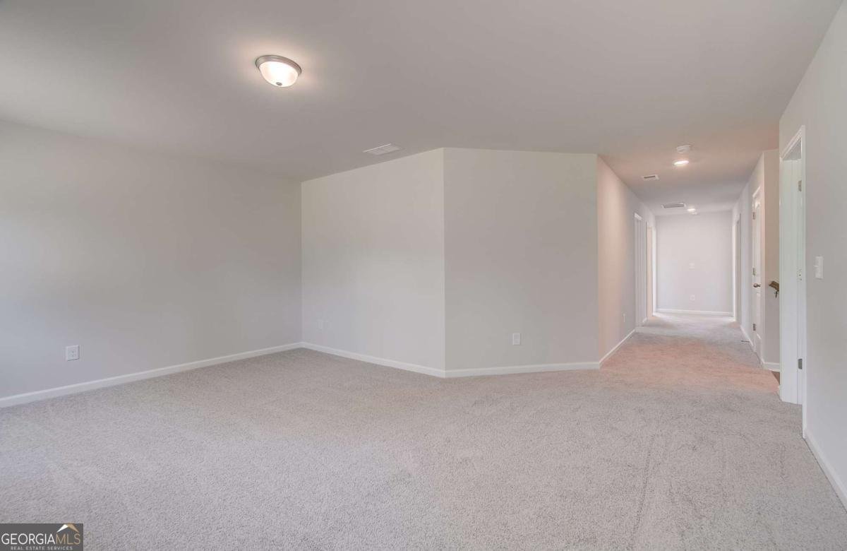648 Leafy Branch Way Mcdonough - Photo 22