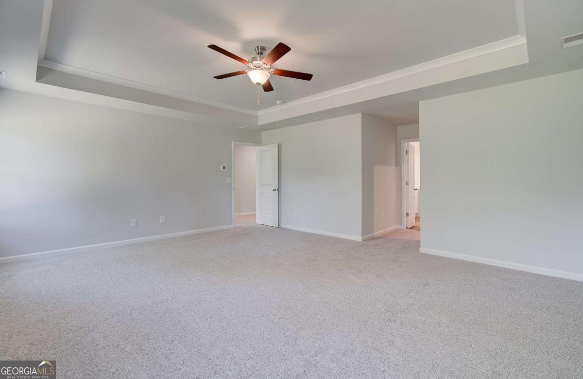 648 Leafy Branch Way Mcdonough - Photo 24