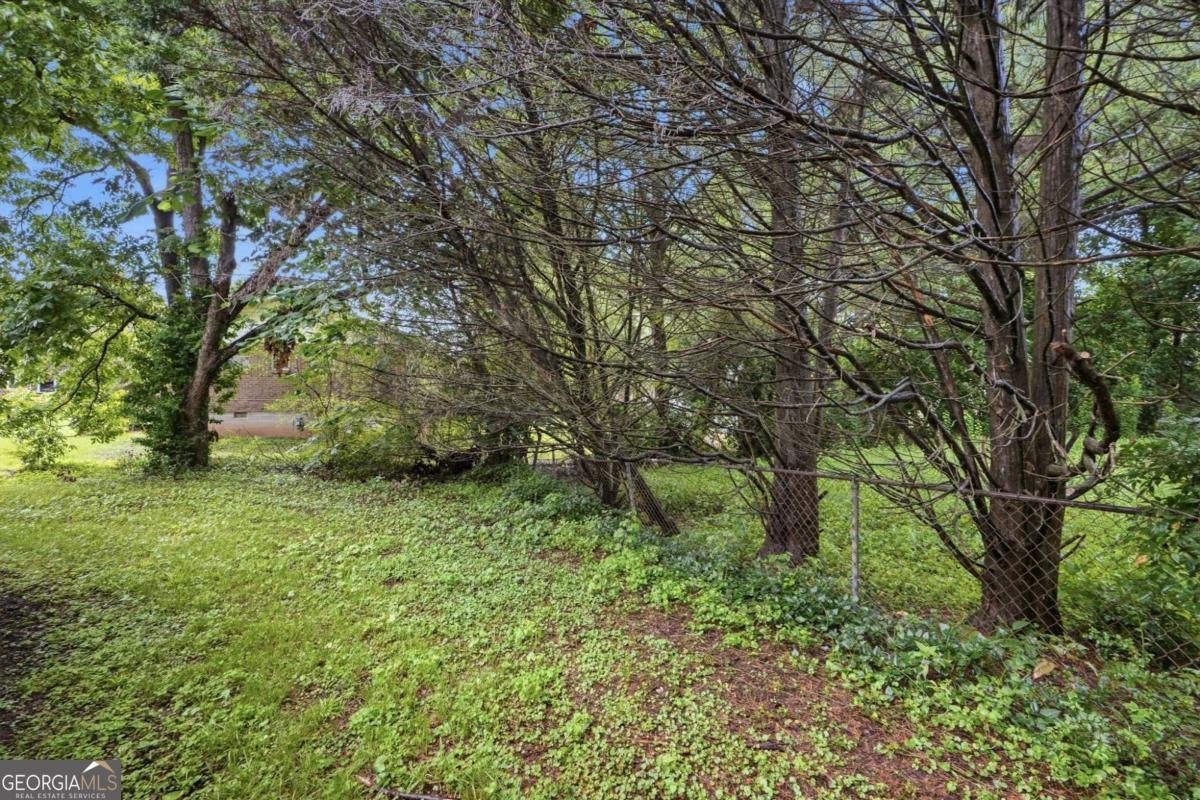 305 Mercer Drive Jonesboro - Photo 33