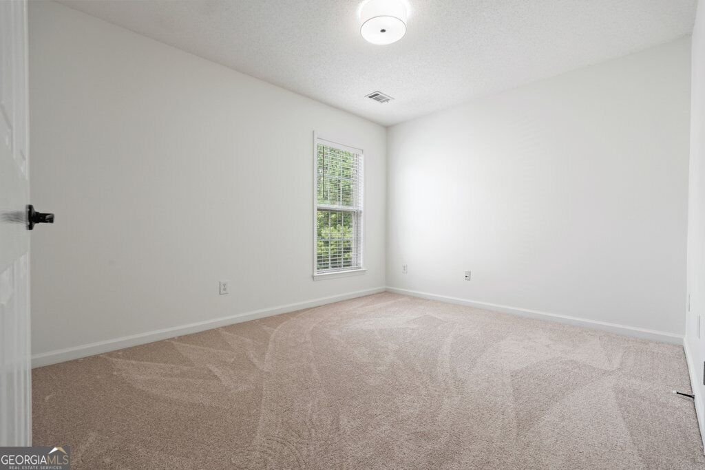 814 Plaintain Drive Woodstock - Photo 45