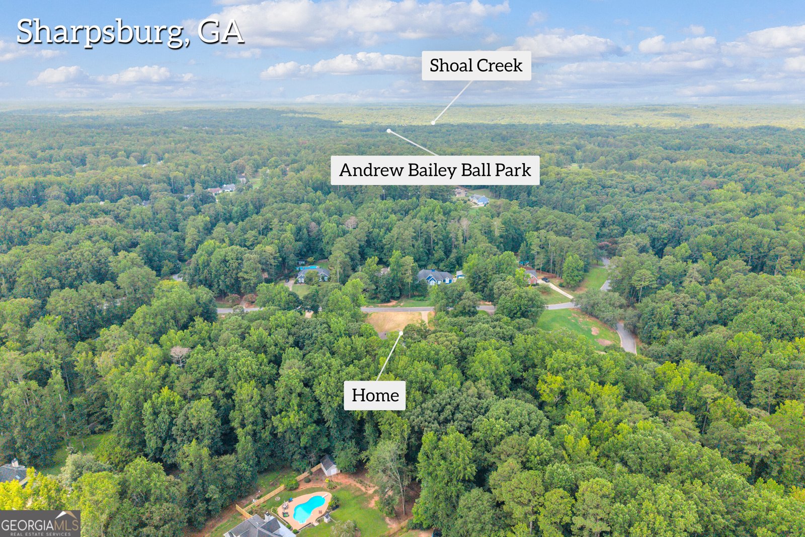 150 Indian Bluff Drive Sharpsburg - Photo 115