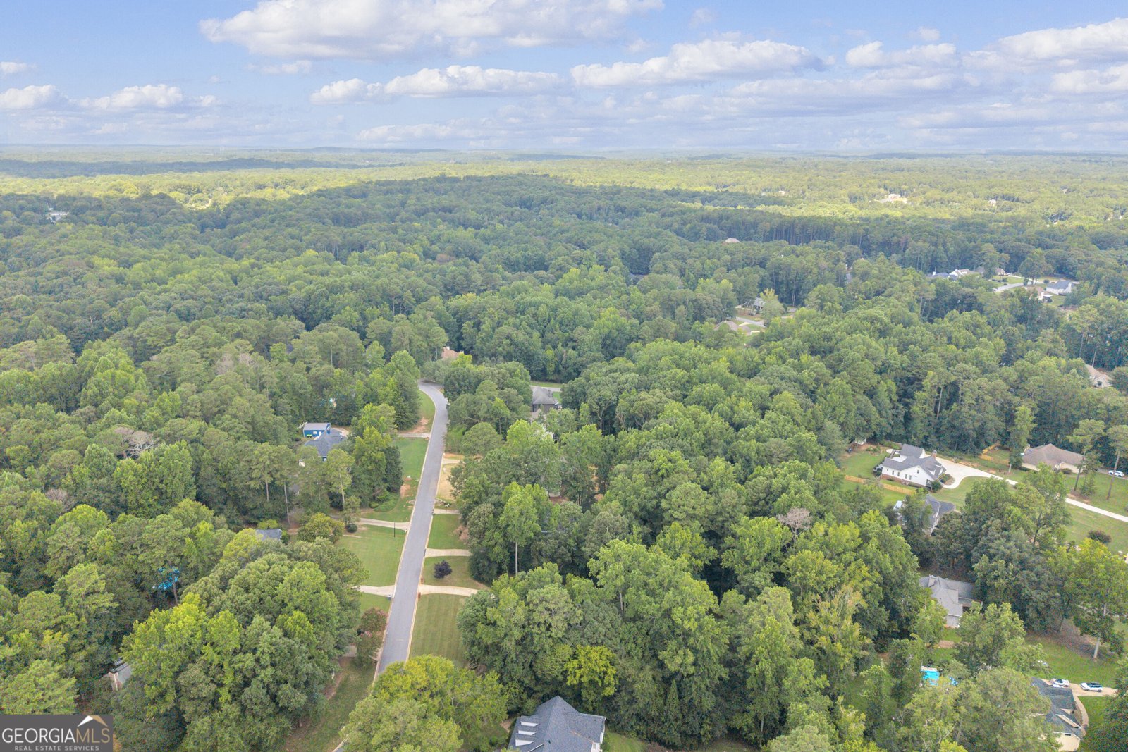 150 Indian Bluff Drive Sharpsburg - Photo 118