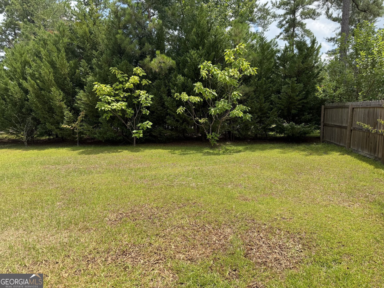 887 Orianna Road East Dublin - Photo 58