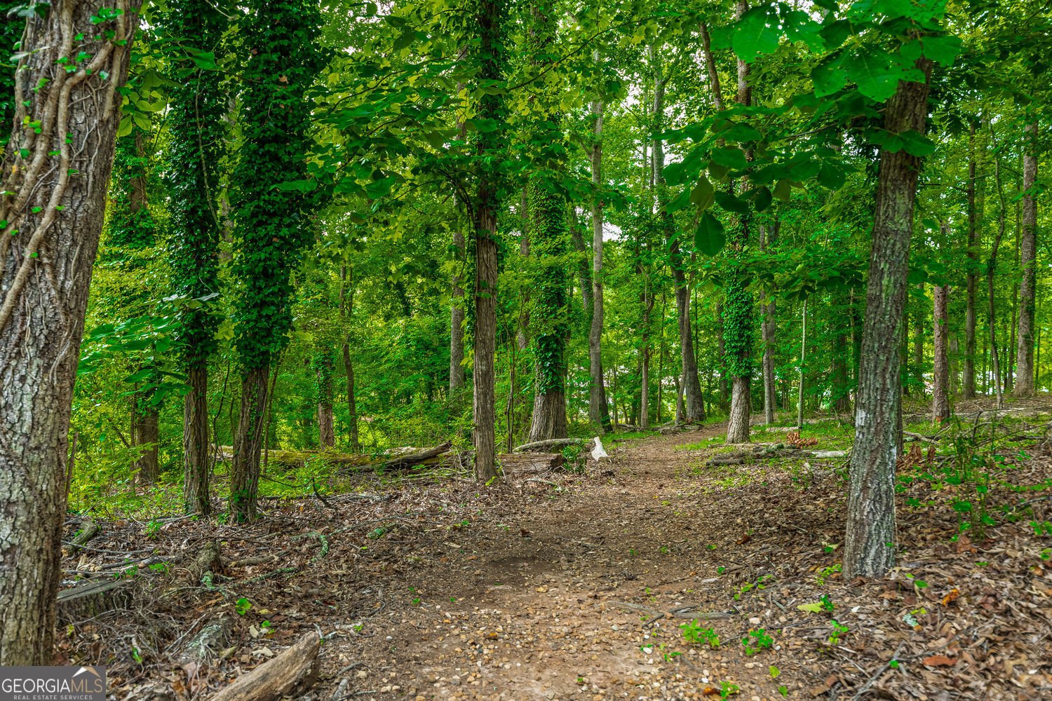 386 Longview Drive Dawsonville - Photo 57