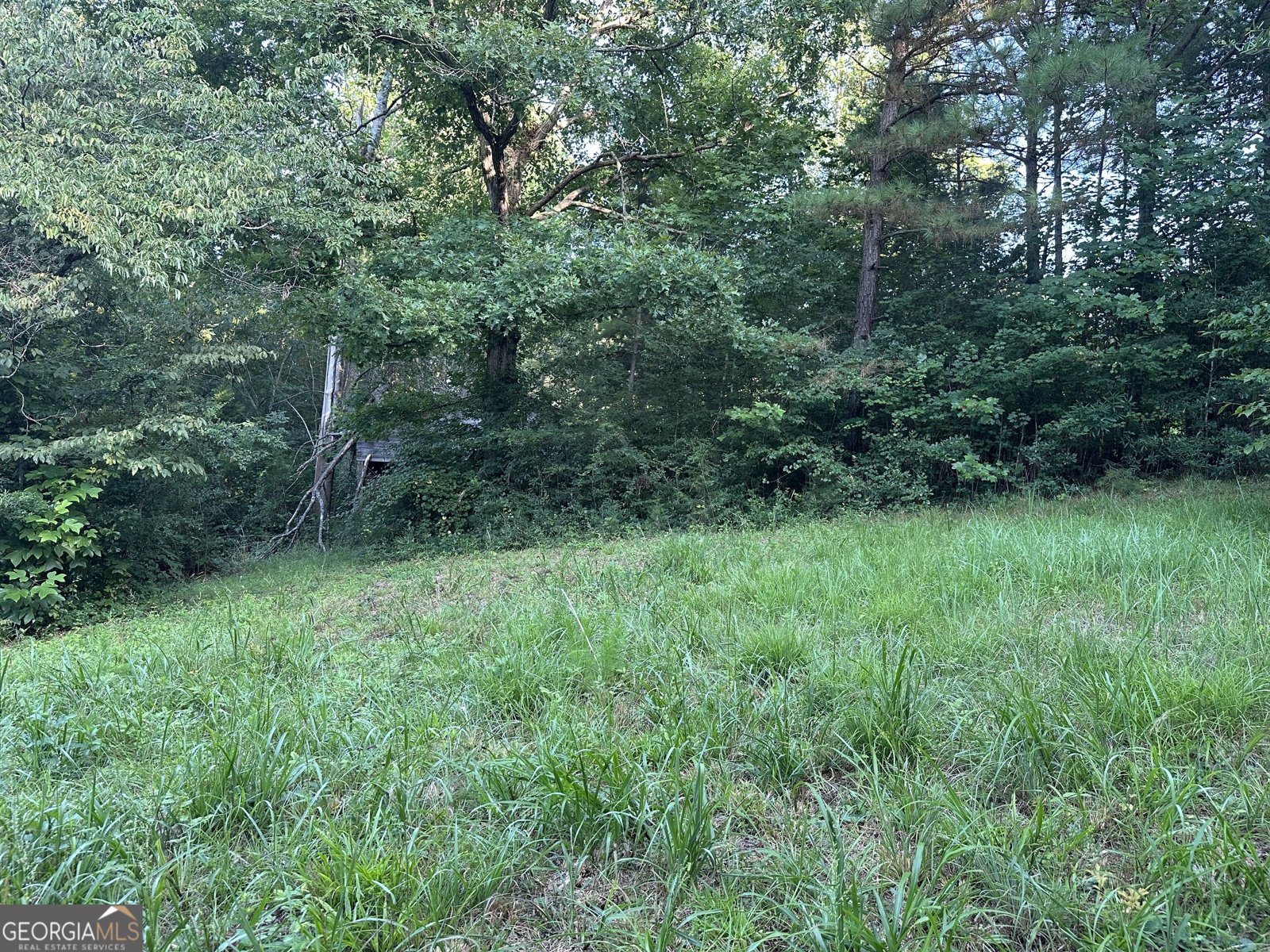 1069 Harbert Valley Road Toccoa - Photo 6