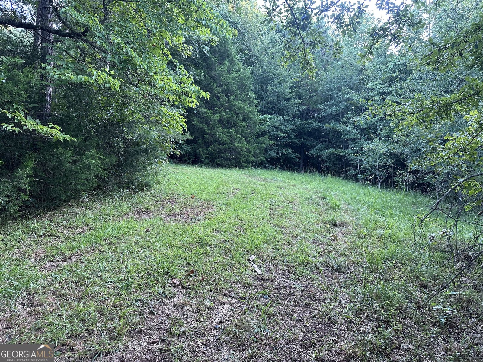 1069 Harbert Valley Road Toccoa - Photo 7