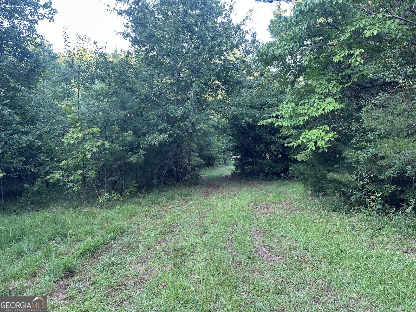 1069 Harbert Valley Road Toccoa - Photo 8