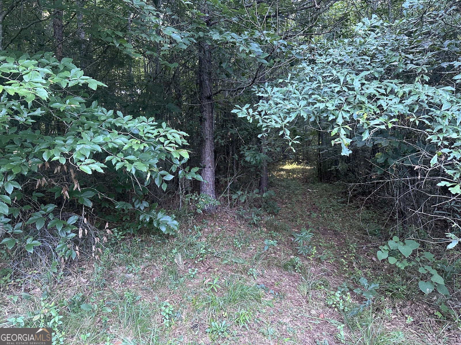 1069 Harbert Valley Road Toccoa - Photo 9