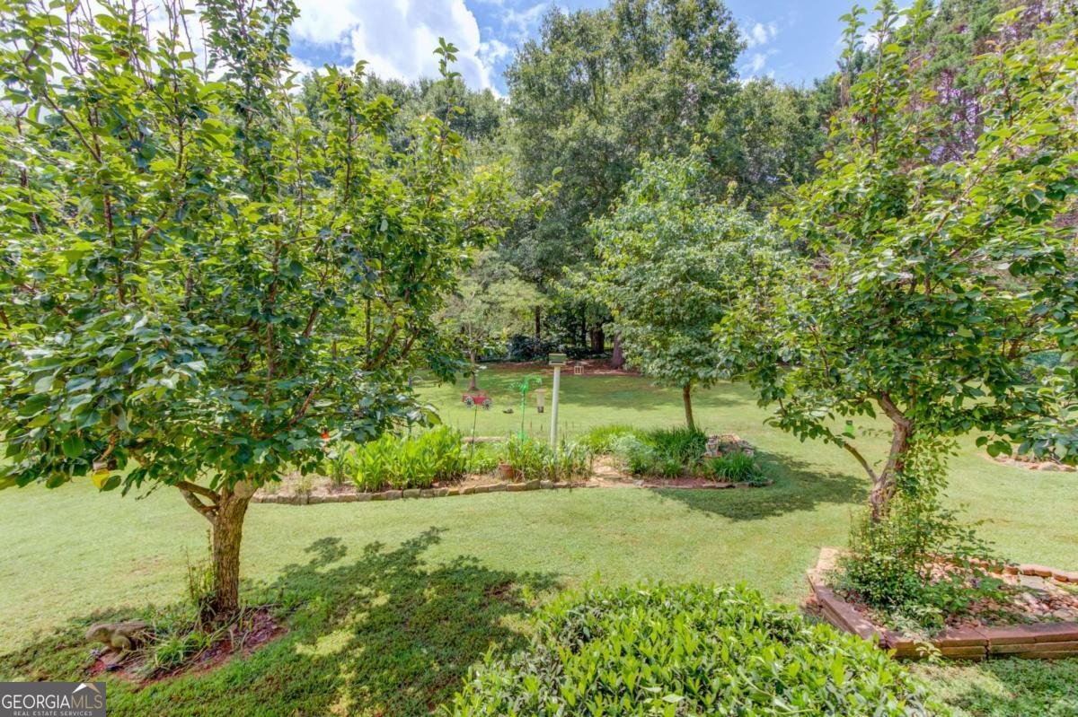 42 Dumar Lane Hoschton - Photo 44