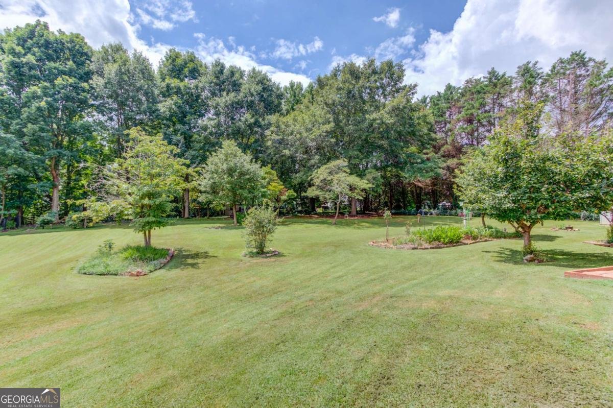 42 Dumar Lane Hoschton - Photo 48