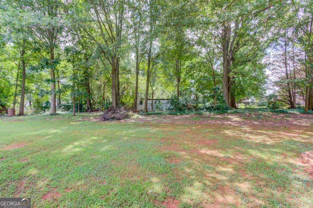 42 Dumar Lane Hoschton - Photo 54