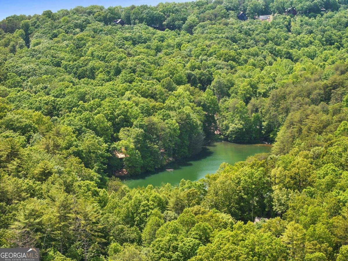 189 Cherry Lake Drive Blue Ridge - Photo 15