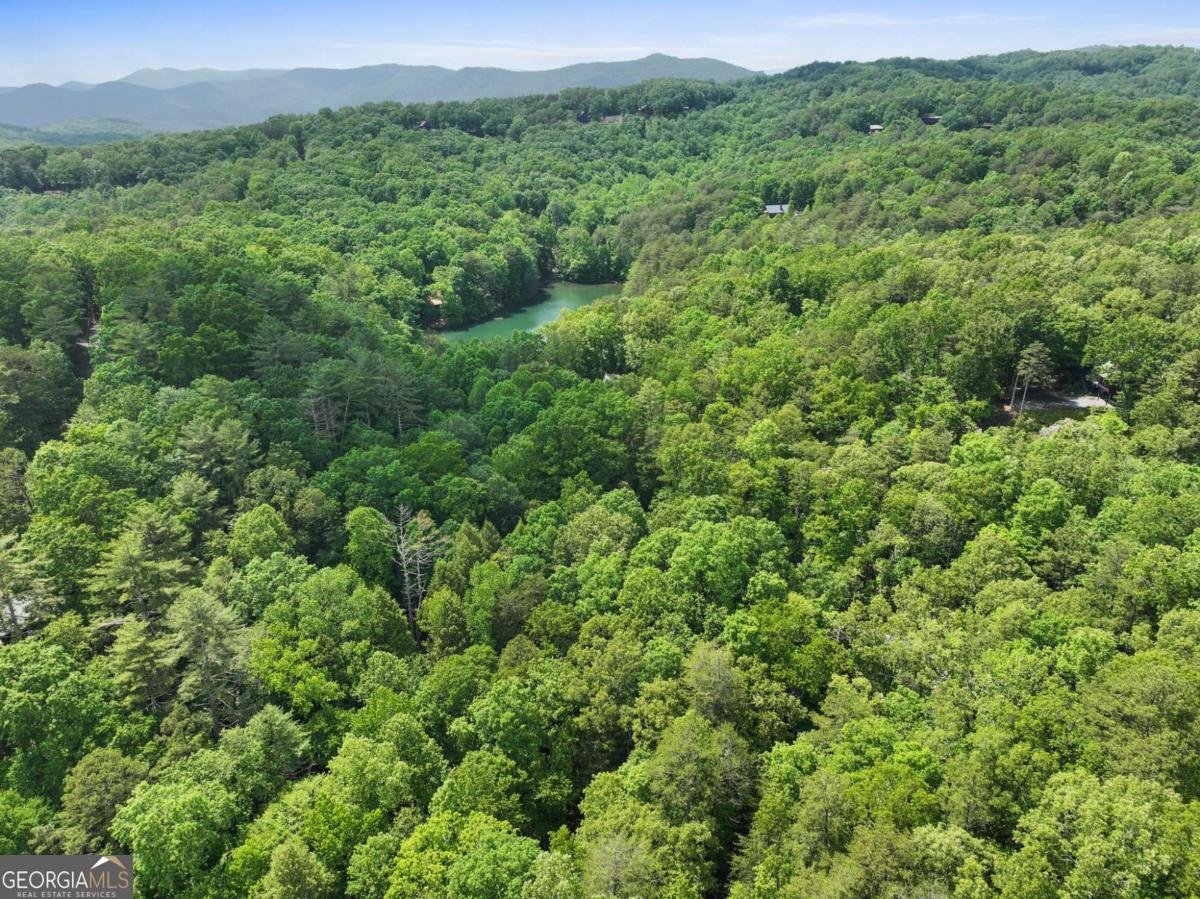 189 Cherry Lake Drive Blue Ridge - Photo 29