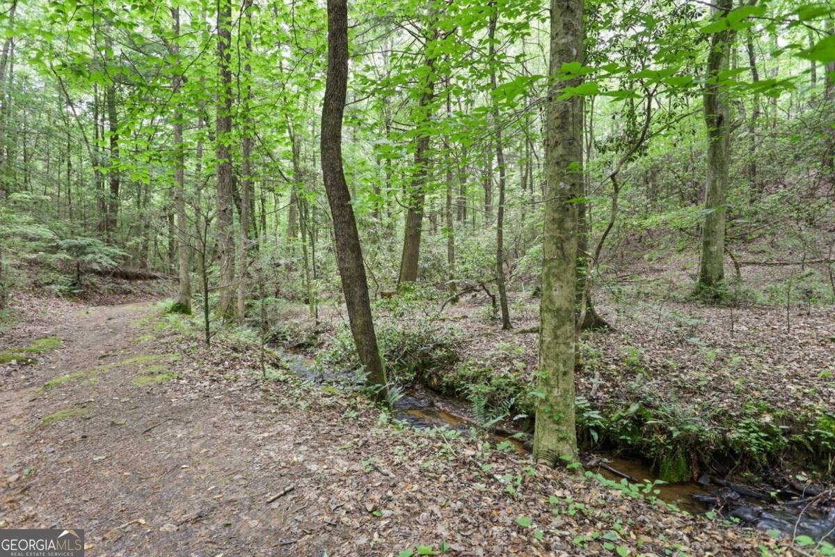 189 Cherry Lake Drive Blue Ridge - Photo 43