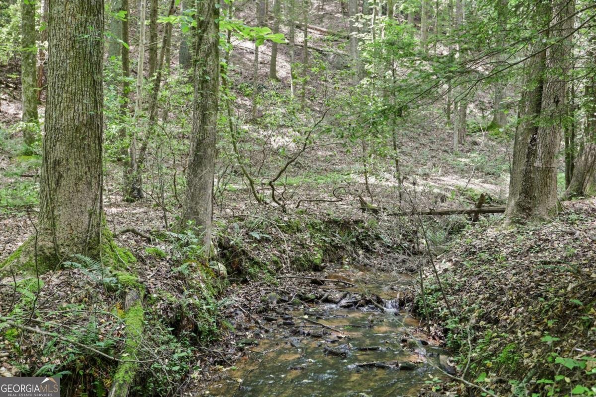 189 Cherry Lake Drive Blue Ridge - Photo 45