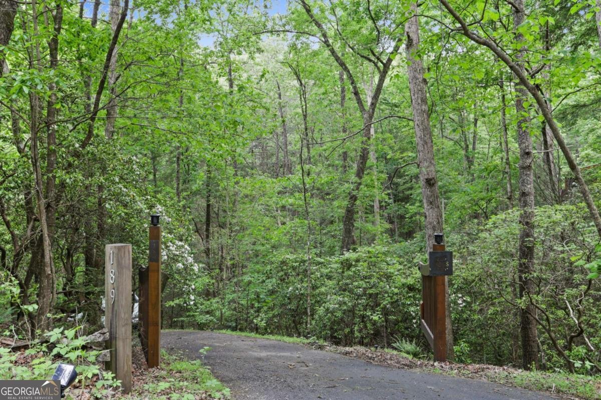 189 Cherry Lake Drive Blue Ridge - Photo 46