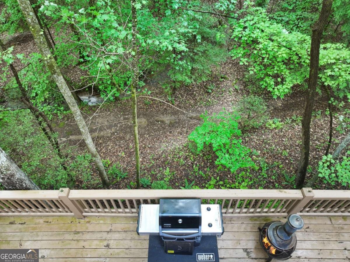 189 Cherry Lake Drive Blue Ridge - Photo 8