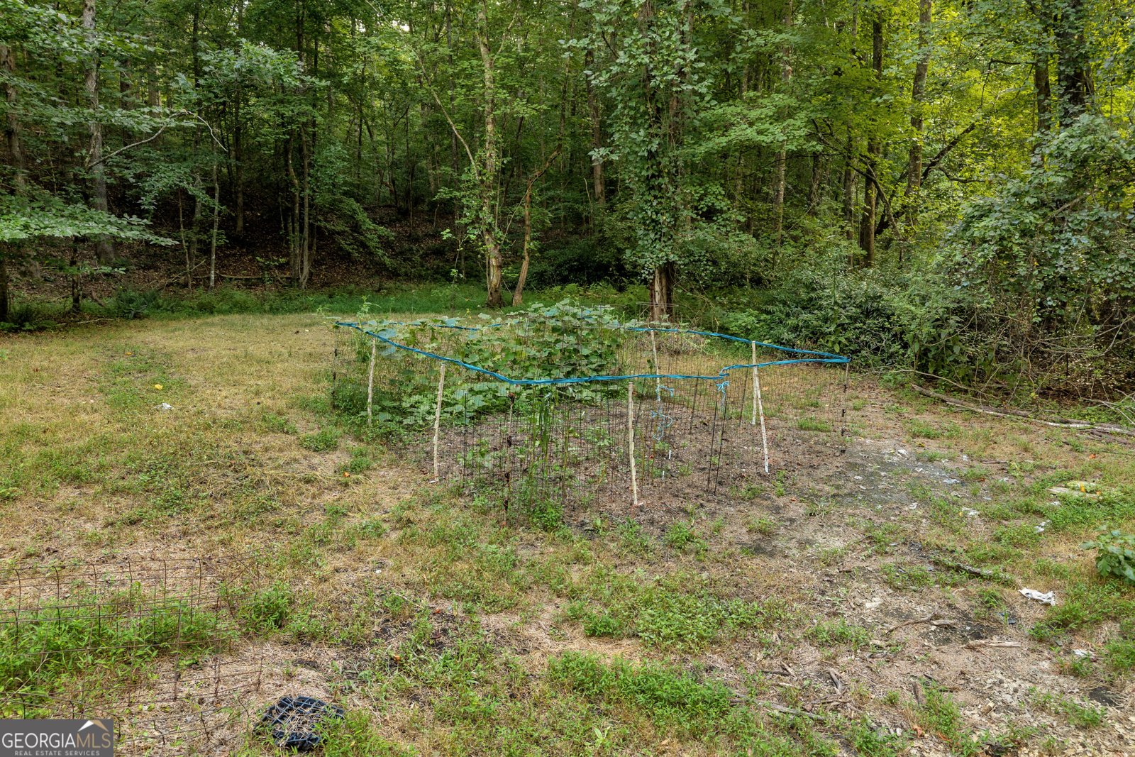 4165 Prather Bridge Road Toccoa - Photo 64