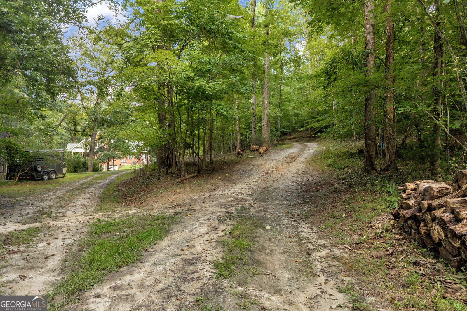 4165 Prather Bridge Road Toccoa - Photo 69