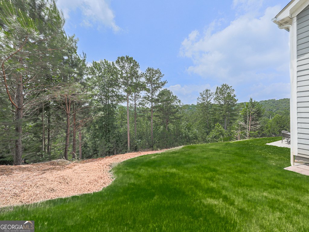 507 Perdue Trail Canton - Photo 45