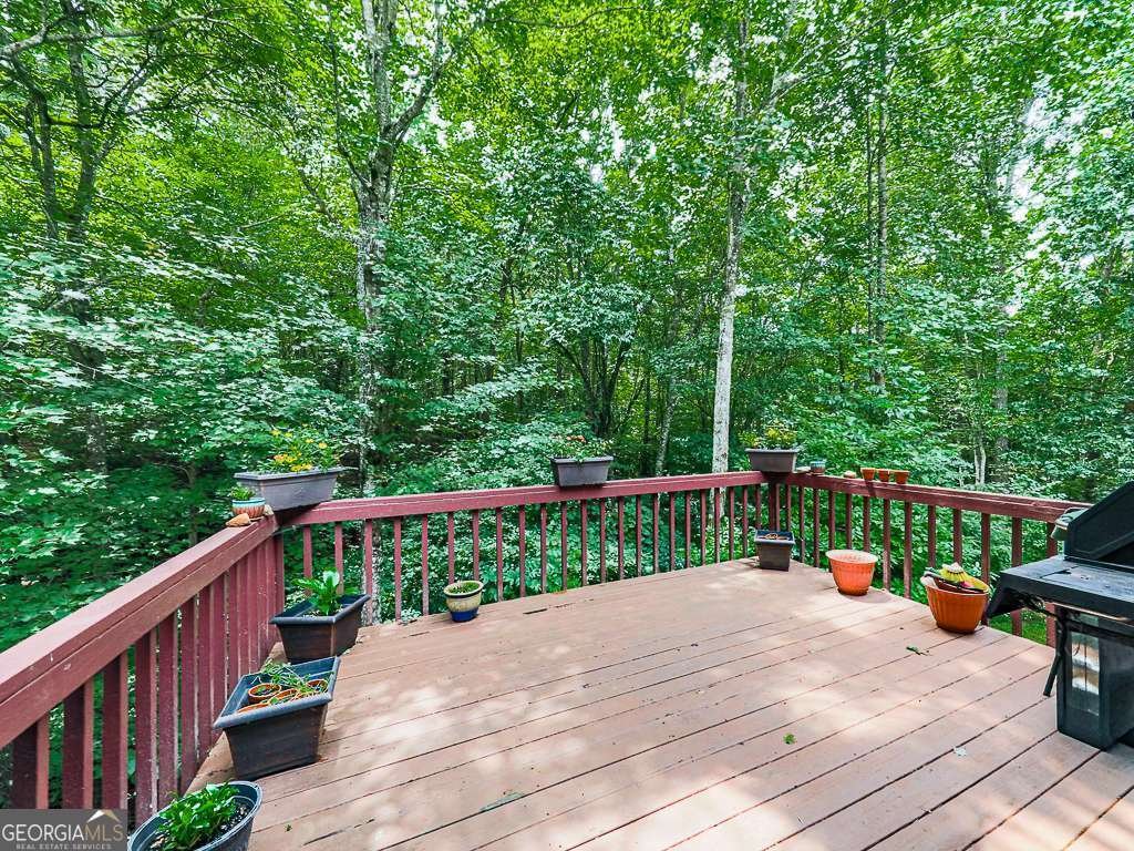 314 Spring Creek Blairsville - Photo 19