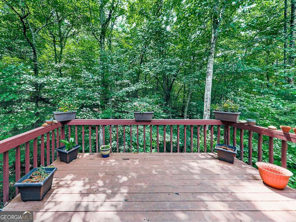 314 Spring Creek Blairsville - Photo 22