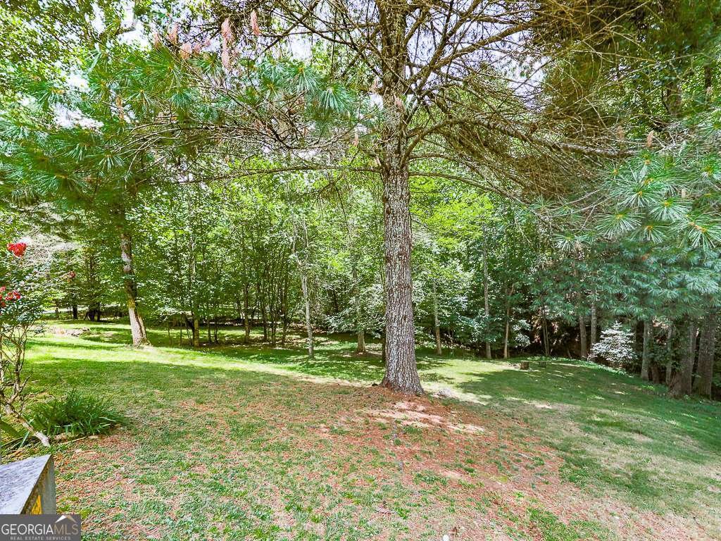 314 Spring Creek Blairsville - Photo 27