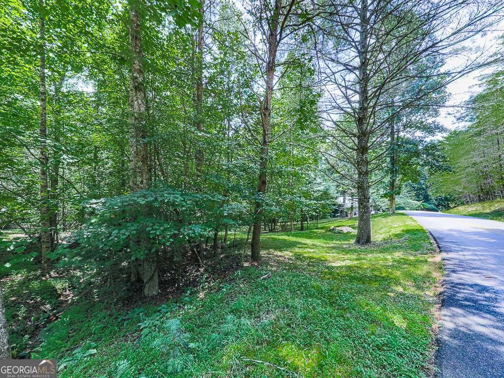 314 Spring Creek Blairsville - Photo 29